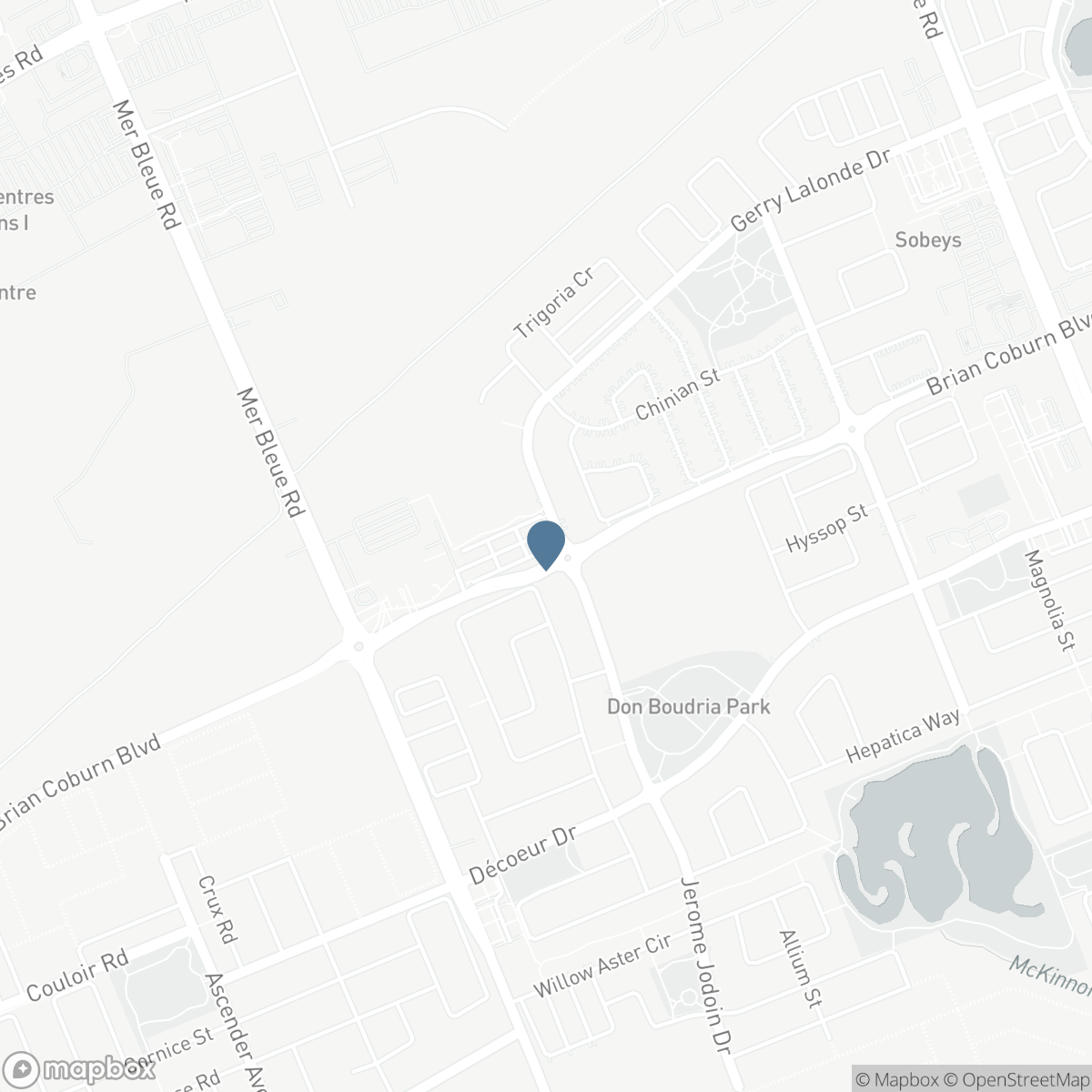 224 CHAPERAL PRIVATE, Ottawa, Ontario K2A 0Y2